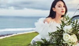 大雁爆料张馨予视频,真相背后引人深思