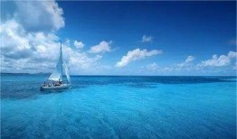 小晨海洋最新爆料,娱乐圈最新爆料大起底