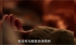 司马家族爆料视频播放在线观看,独家内容在线观看，揭秘家族秘闻